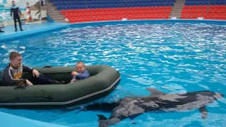 Сочи. Дельфины катают на лодке детей.