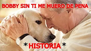 PERRO PERDIDO tiene el REENCUENTRO más EMOCIONANTE con SUS PADRES HUMANOS ANCIANOS, HISTORIA REAL