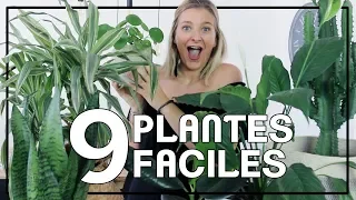 9 plantes increvables faciles à entretenir quand on a pas la main verte !