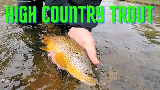 HIGH COUNTRY TROUT - fly fishing