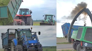 ☆Żyto na kiszonkę☆Na wesoło㋡[New holand, 2x Maseey ferguson, Deutz fahr]☆