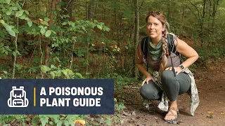 Poisonous Plants: We Identify the Top 6 Culprits Found in the Great Outdoors | Campsite Classes