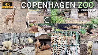 Tour At Copenhagen Zoo