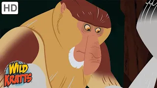 Wild Kratts | Primates | Apes and Monkeys