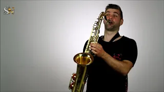 Bryan Adams - Please Forgive Me. Saxophone Cover. Stas Neufeld