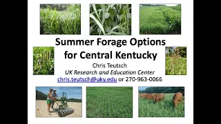 Summer Forage Option for Central Kentucky-Chris Teutsch