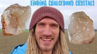 Finding Chalcedony Quartz Crystals in a field in Germany | Rockhounding around the world