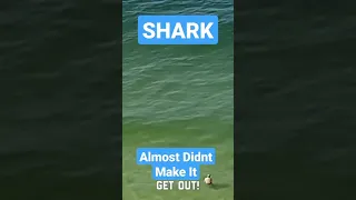 🦈SHARK CHARGES AT A SWIMMER WHO THEN FARTS😳 UNDER WATER JUST IN TIME TO TURN THE SHARK AWAY 🦈