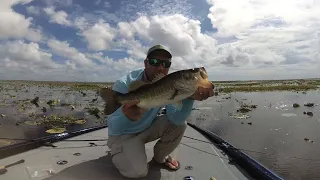 Punching mats in the Summer for big Florida bass