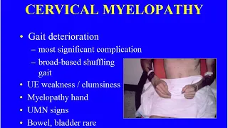 Miller's Orthopaedic Lectures: Spine 1