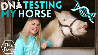 DNA Testing My HORSE! AD | This Esme