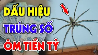 BẠN SẮP TRÚNG SỐ GIÀU TO Nếu Đột Nhiên Thấy 5 Điềm Báo Này, Tiền Vàng Cứ Thế Ùn Ùn Kéo Về