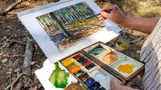 How to simplify a complex woodland scene in watercolour