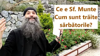 Întrebări și răspunsuri: Ce e Sf. Munte, cum sunt trăite sărbătorile - p. Pimen Vlad