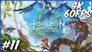 Horizon Forbidden West - Walkthrough - Part 11 - No Commentary - [4K 60 FPS] - PS5