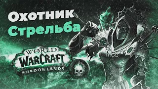 ЧЕМПИОН! Гайд ММ Хант WOW Shadowlands 9.0.2