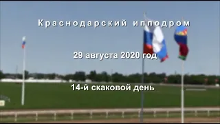 Видео 14 скаковой день   29 08 2020г  Краснодарский ипподром