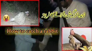 How to catch a rabbit | Rabbits catch with hand | khyber hunting tube