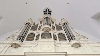 Meditatief orgelspel Psalm 130 vers 1 en 2 | Van Dam - orgel Wolphaartsdijk