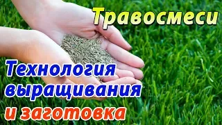 Выращивание и хранение травосмесей. Многолетние и однолетние травы. BARENBRUG