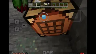 Just a normal Minecraft run