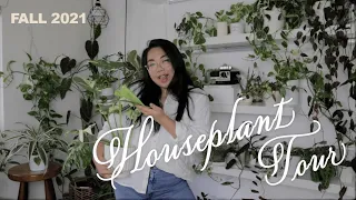 HOUSEPLANT TOUR 2021 🪴 LIVING W/ 100+ PLANTS! (UPDATED) 🌿