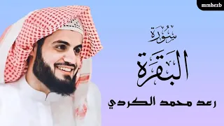 سورة البقرة كاملة القارئ رعد محمد الكردي