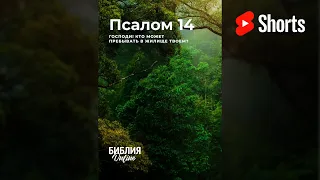 Псалом 14 в современном переводе #Shorts