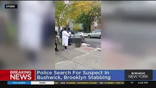 Police search for suspect in Bushwick, Brooklyn, stabbing