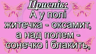 Виграва сопілонька у ліску (плюс із текстом) - Пісні про весну, до свята 8-Березня