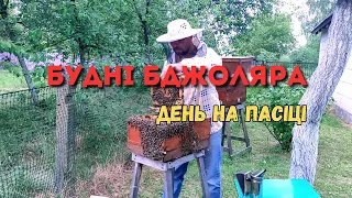 Будні бджоляра. День на пасіці