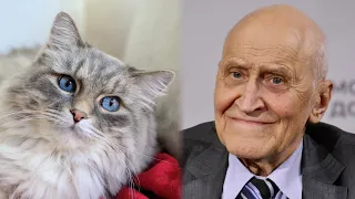 Николай Дроздов: Кошки нормализуют артериальное давление