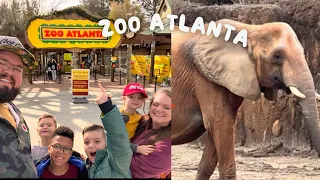 ZOO ATLANTA | Elephants, Pandas, Giraffes and so much more | Atlanta, GA