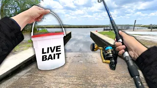 Fishing the BOAT RAMP! Catch and Cook for my CRAZY NEIGHBOR