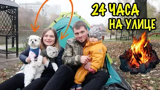 24 ЧАСА ВЫЖИВАЕМ НА УЛИЦЕ С КОТОМ, СОБАКОЙ И МАЛЫШОМ