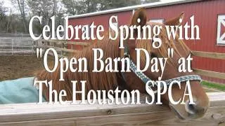 Open Barn Day | Houston SPCA