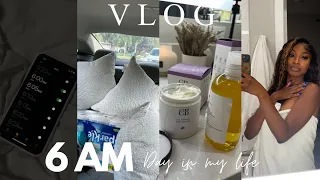 VLOG: A 6AM DAY IN MY LIFE | MORNING ROUTINE, DOG MOM DUTIES, STORE RUNS, CLEANING & MORE!