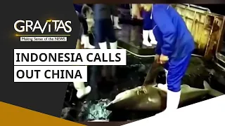 Gravitas: Indonesia calls out China