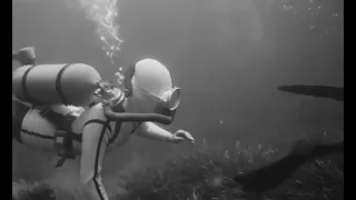 Vintage frogwomen with white wetsuit and get attacked, Unknown Vintage Movie