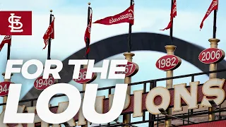 For The Lou | St. Louis Cardinals