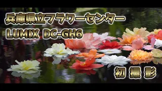 LUMIX GH6　初撮影(ほぼ手持ち）