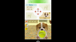 •Nintendogs Dalmatian and Freinds• Gameplay Part.1