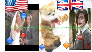 Top best Cats/ dancing to music / funny cat dance /compilation USA