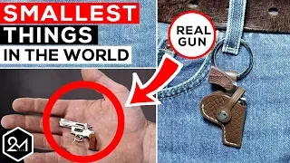 Top 10 Smallest Things In The World 2018