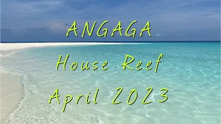 Angaga Island's House Reef - Maldives - April 2023