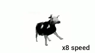 dancing polish cow at different speeds