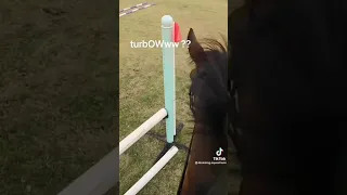 Cross Country Equestrian TikTok compilation