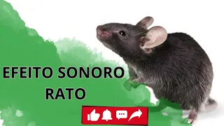 EFEITO SONORO RATO