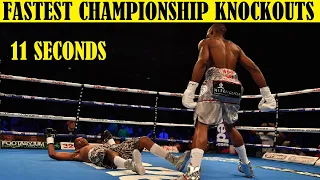 Top 10 Fastest Knockouts in Championship Fights