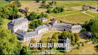 CHATEAU FOR SALE - Château du Bouilh - What has happened?